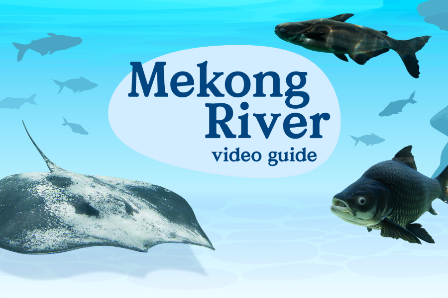 Video Guide - Mekong River