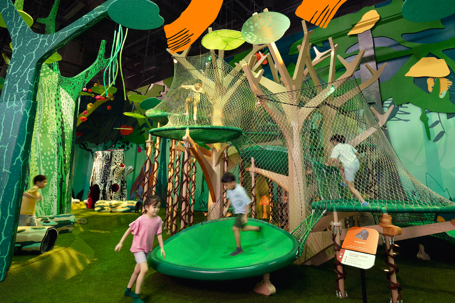 Curiosity Cove Preschool Programmes