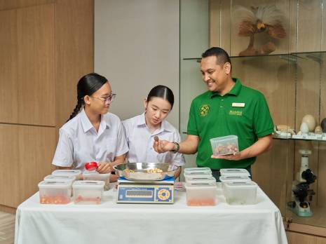 students shown the different of feed used 
