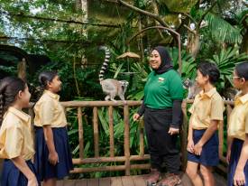 School Programmes and Learning Resources 