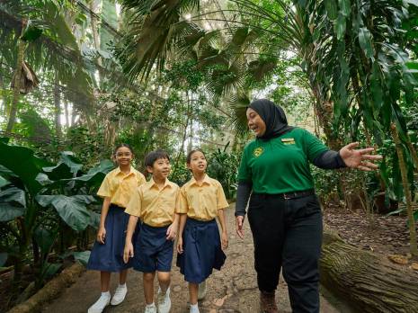 students walking in a man-made forest dome