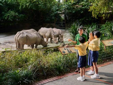 students learning about rhinos