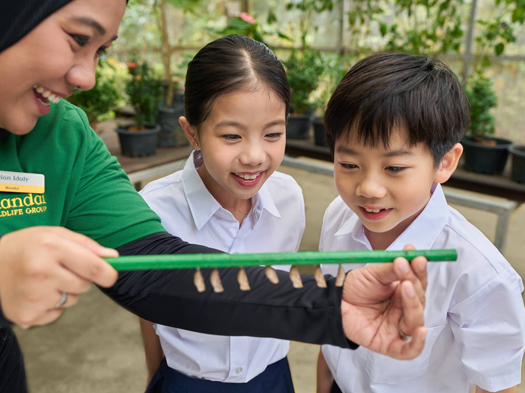 students looking at chyrsallis