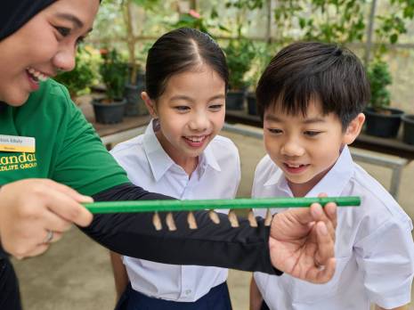 students looking at chyrsallis 