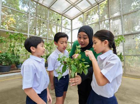 students looking closely at butterflies