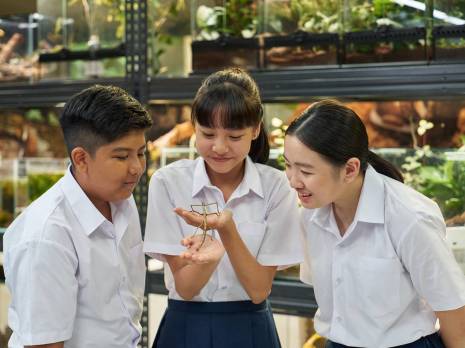 student holding on the stick insect