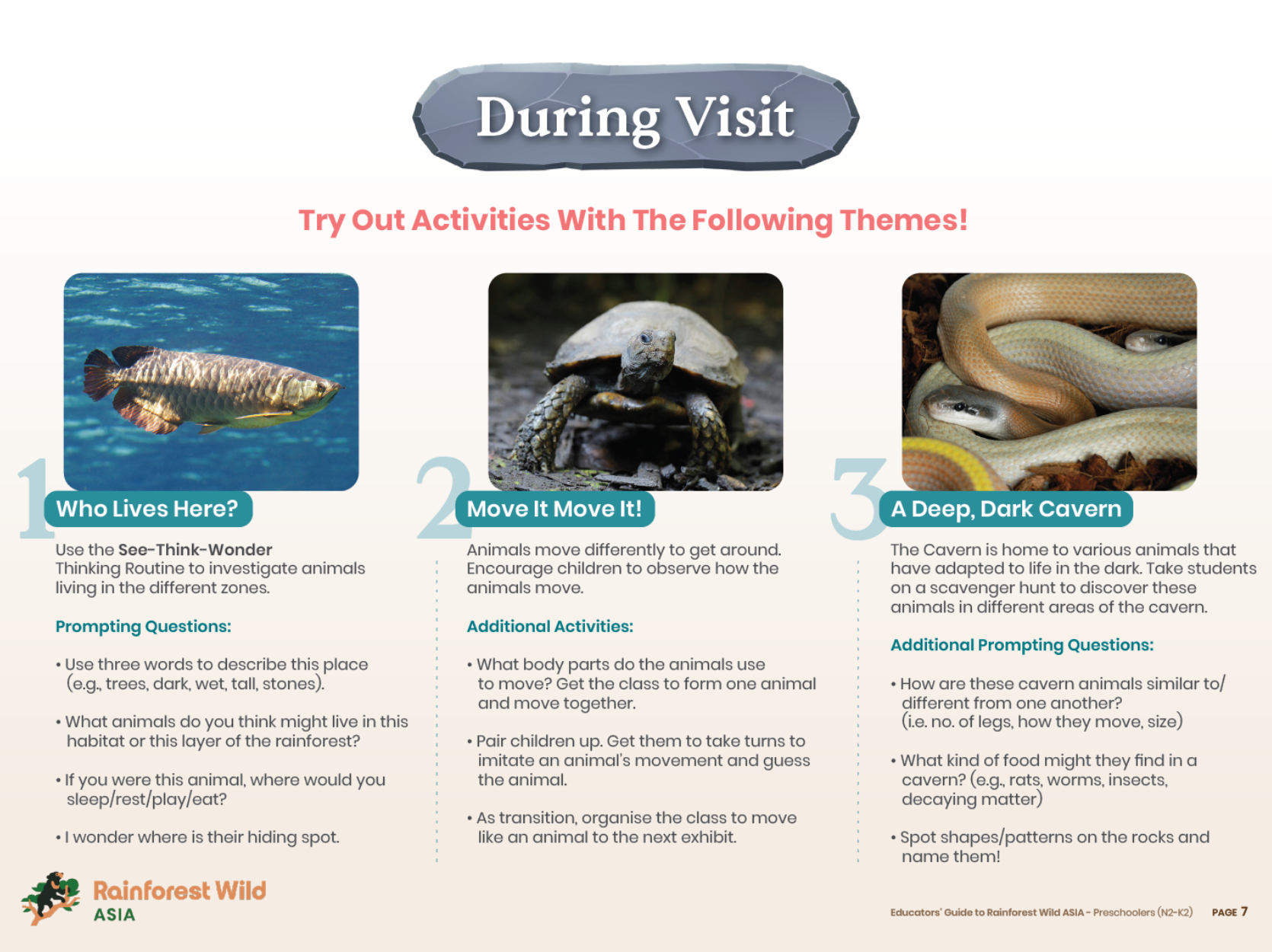Rainforest Wild ASIA 'During Visit' guide with three themed activities