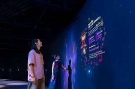 Points Refresh Every Contest Period​