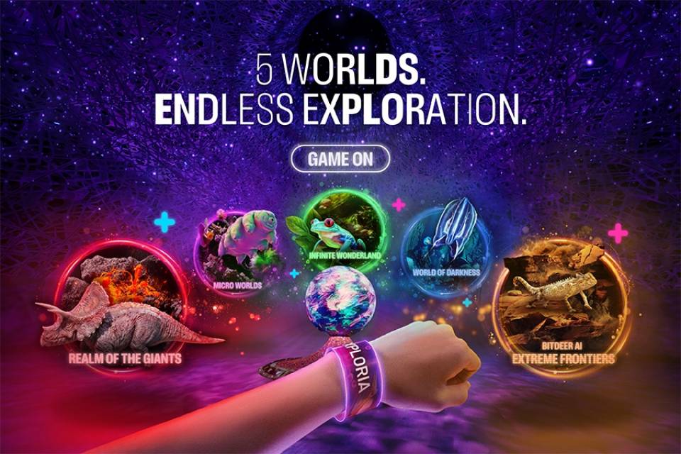 Endless Exploration Awaits