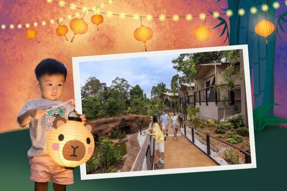 [Exclusive] Mid-Autumn Glamping in the Wild — Crocodile Lodge