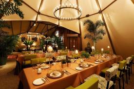 Unique Venues Amidst Nature & Wildlife