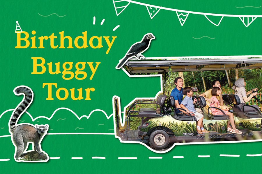 Birthday Buggy Tour