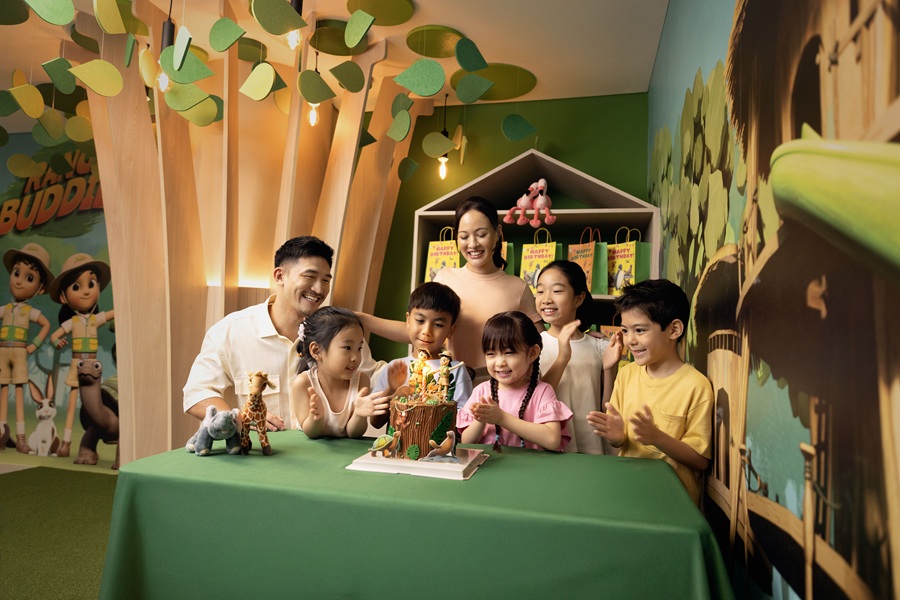 Curiosity Cove Birthday