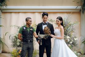 Memorable Wildlife Encounters