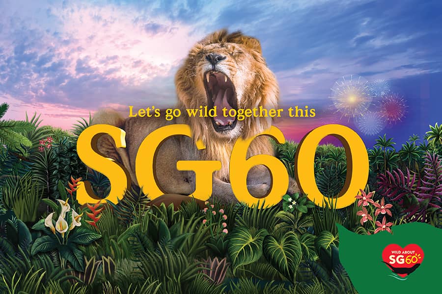 Image 34: Let’s go wild together this SG60 with roarsome deals and experiences!