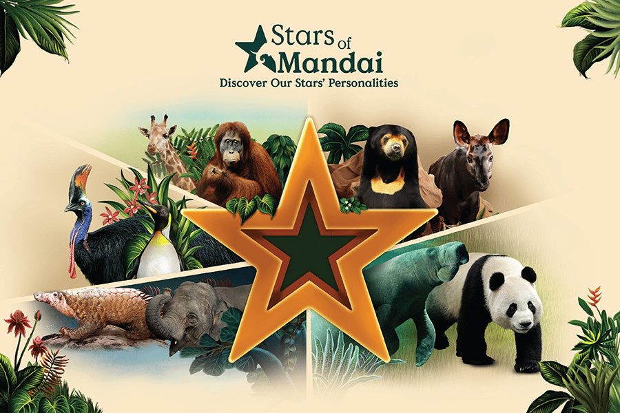 Discover Our Stars' Personalities