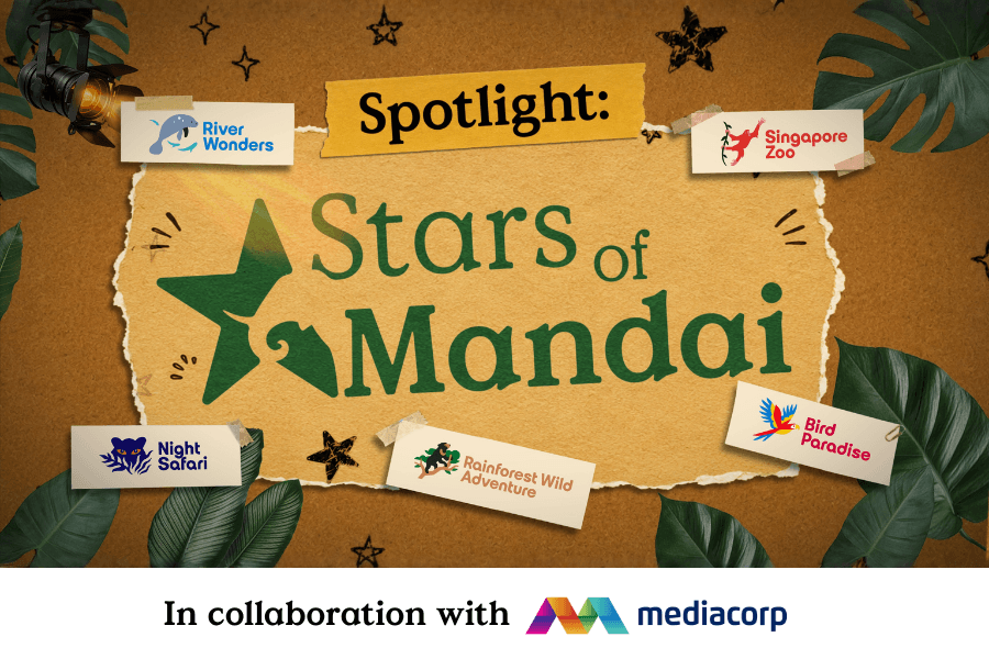 This is a picture of the Mandai Wildlife Reserve's Stars of Mandai