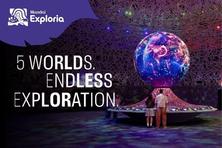 5개의 세계, 무한한 탐험