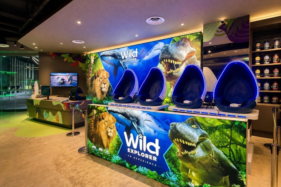 Wild Explorer VR Experience