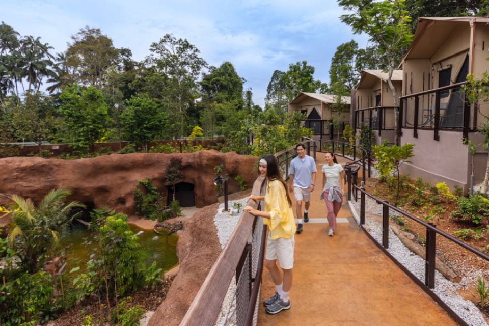 Glamping in the Wild — Crocodile Lodge