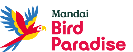 Bird Paradise