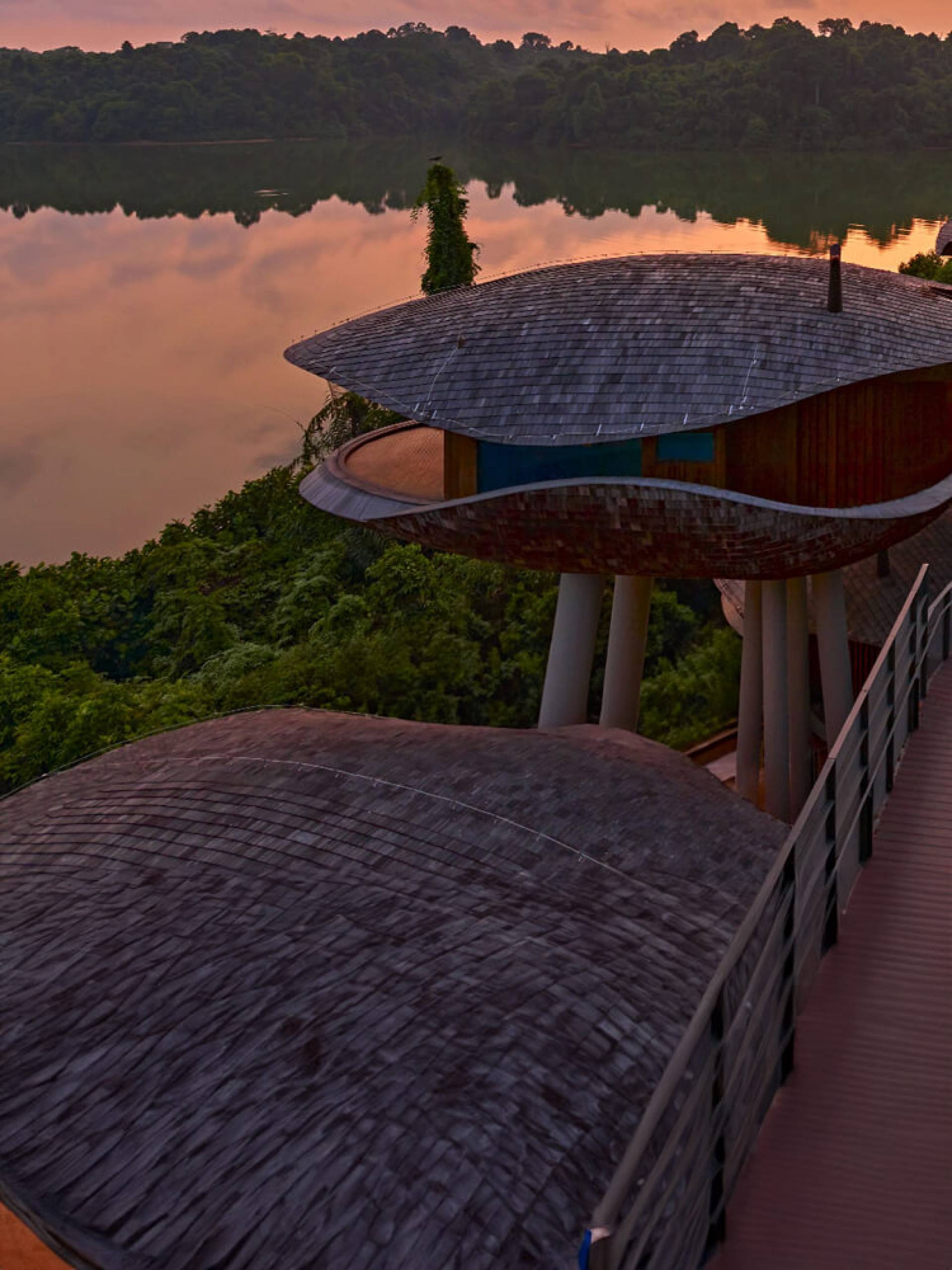 Stay and immerse yourself in the wonders of nature and wildlife at Mandai Rainforest Resort by Banyan Tree