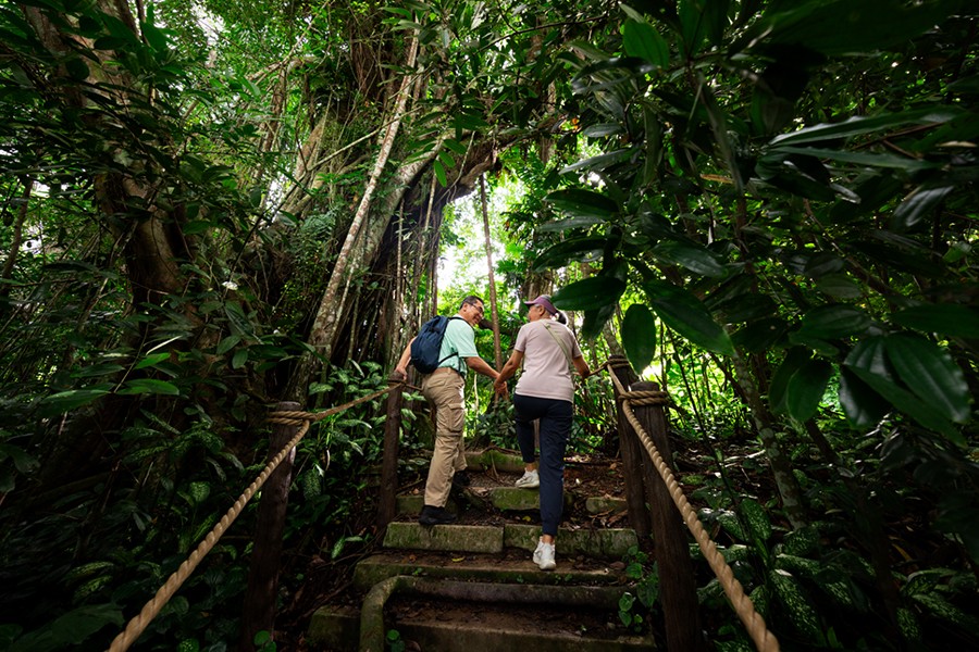 /content/dam/mandai/mandai-rainforest-resort/offers/hiking-in-dense-rainforest-900x600.jpg