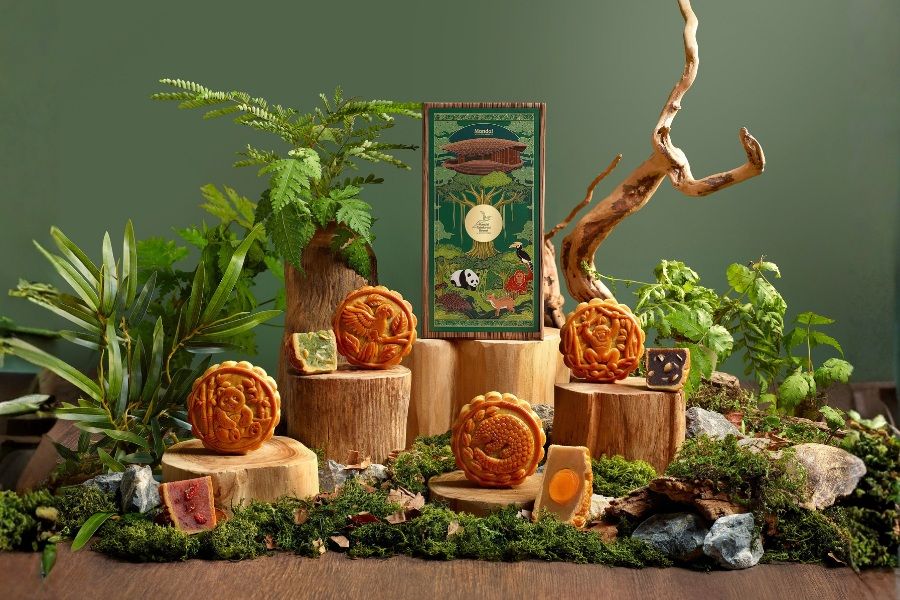 Mid-Autumn in the Rainforest