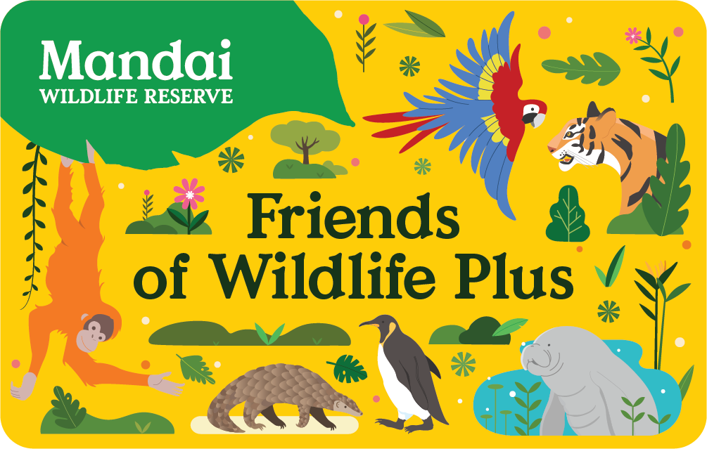 Friends of Wildlife Plus card face
