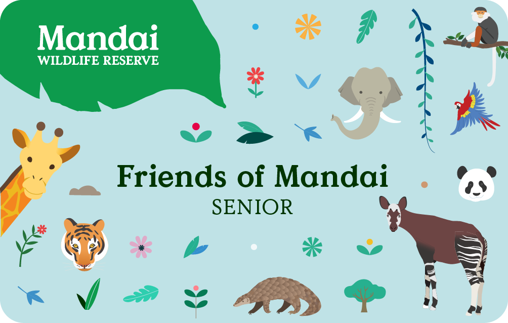 Friends of Mandai Senior