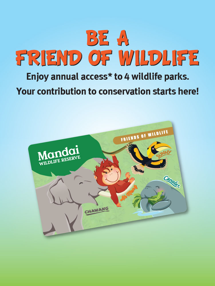 Friends of Wildlife | Mandai Wildlife Reserve