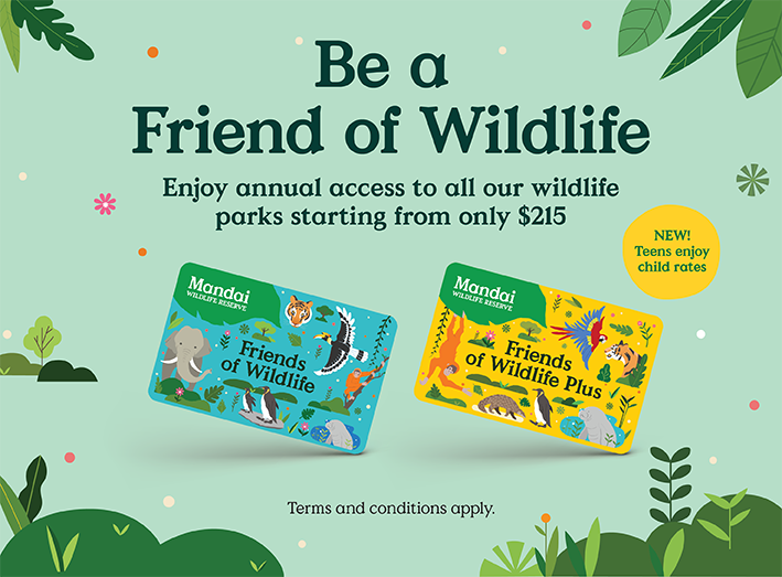 Be a Friend of Wildlife. Enjoy annual access to all our wildlife parks starting from only $215. NEW! Teens enjoy child rates. Terms and conditions apply.