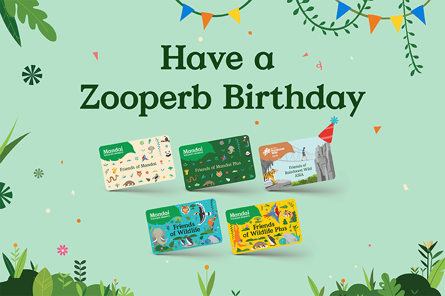 Have a Zooperb Birthday