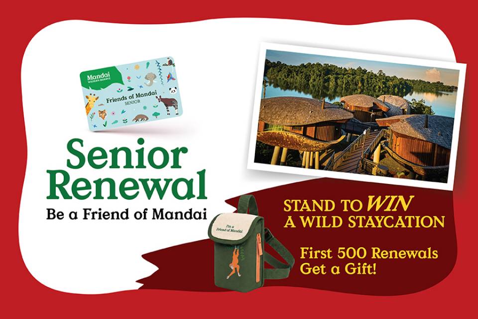 Renew & Be Rewarded!