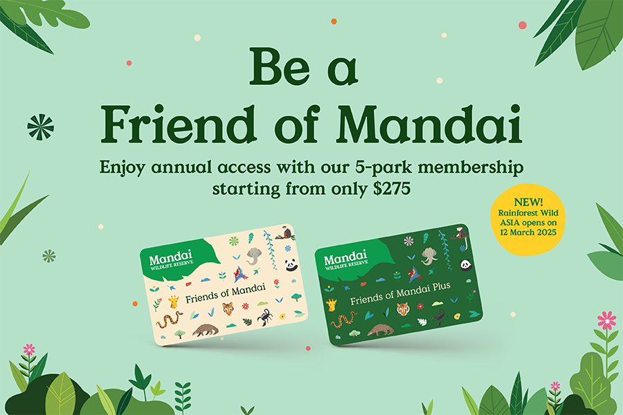 Be a Friend of Mandai. Enjoy annual access with our 5-park membership starting from only $275. NEW! Rainforest Wild ASIA opens on 12 March 2025.