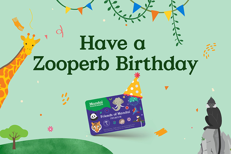 Have a Zooperb Birthday