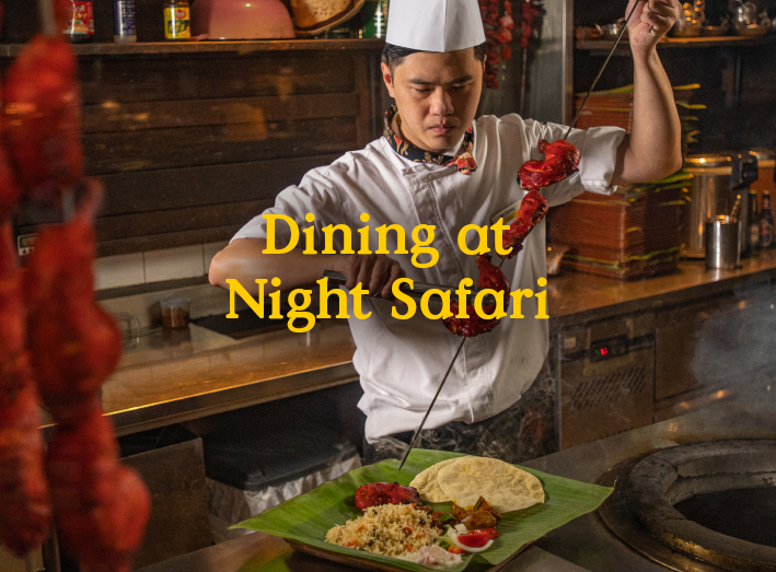 Dining at Night Safari