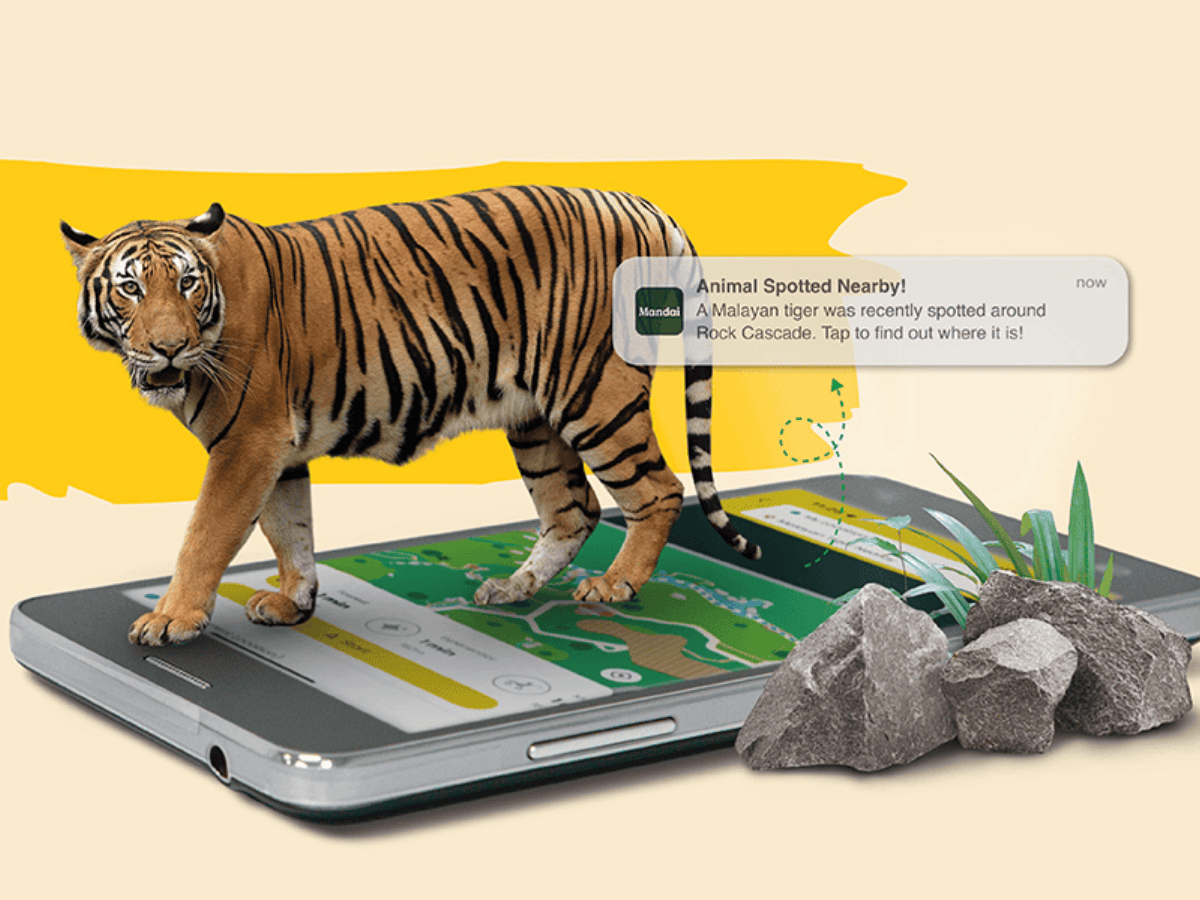 Be the first to know about animal sightings* and where to spot them in action
