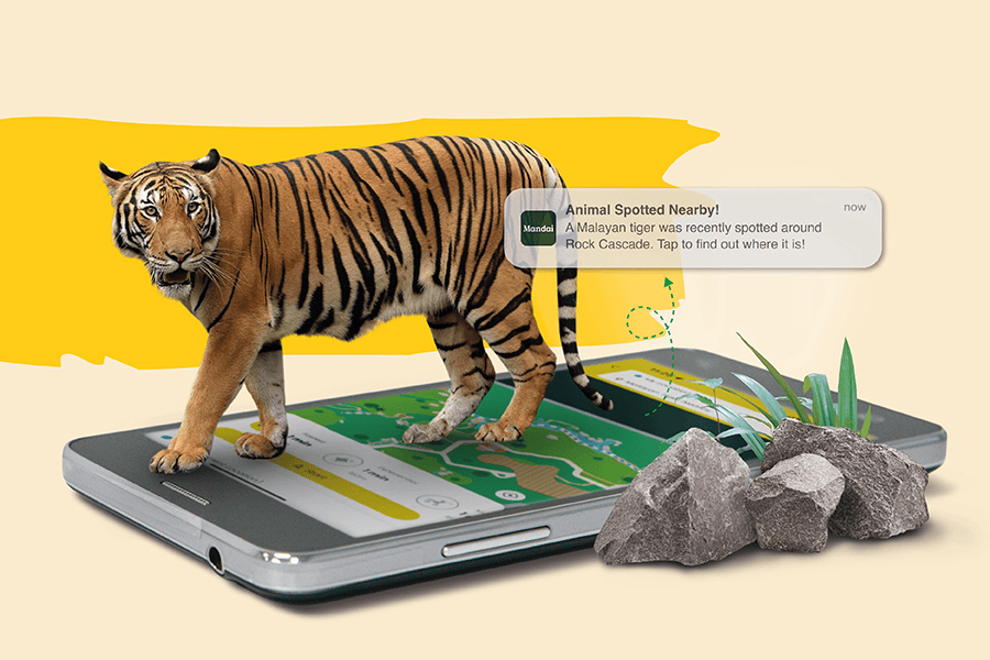 Be the first to know about animal sightings* and where to spot them in action