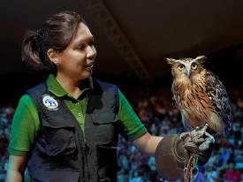 공연 좌석 예매하기