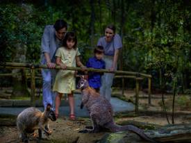 儿童必须时刻监督