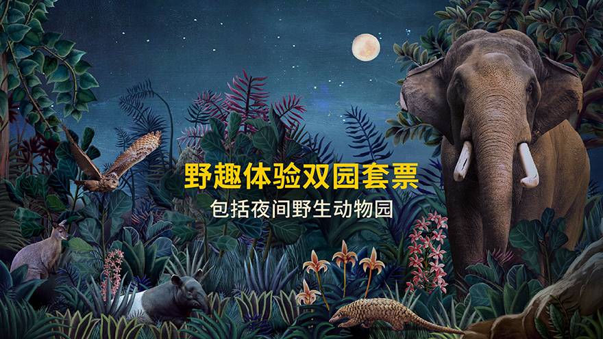 双景点（5日套票）