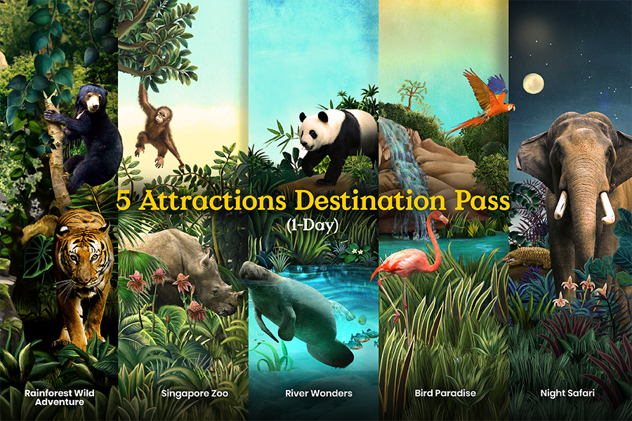 5 Attractions Destination Pass (1-Day)