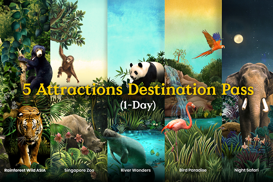 5 Attractions Destination Pass (1-Day)