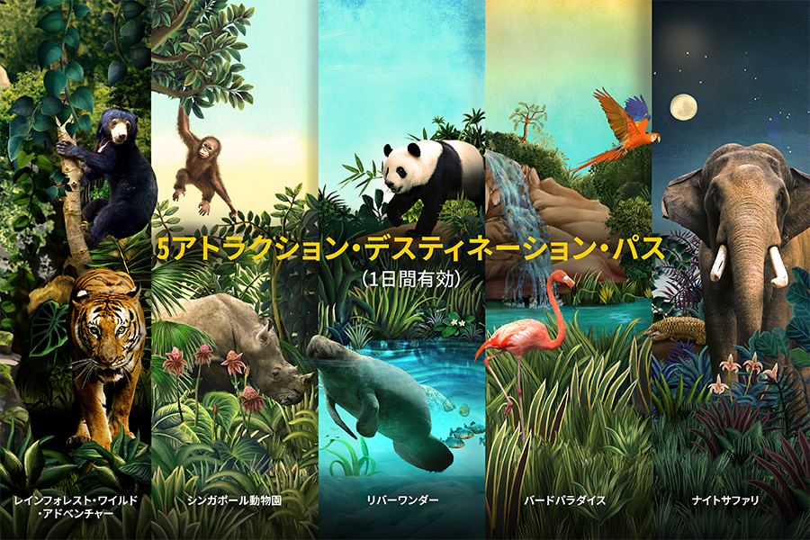 マルチアトラクション・デスティネーションパス