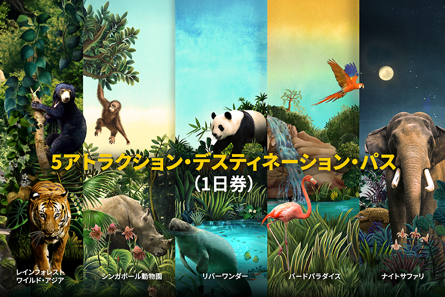 5アトラクション・デスティネーション・パス（1日券）