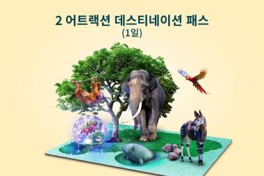 2 어트랙션 데스티네이션 패스 ​(1일)