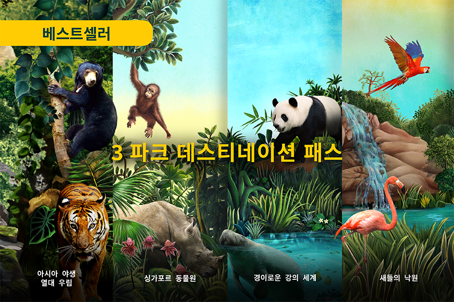 3 파크 익스플로러 데이 패스