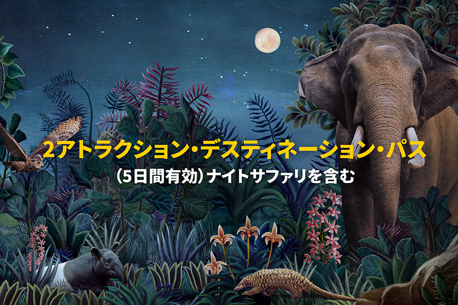  2アトラクション・デスティネーション・パス（5日間有効）