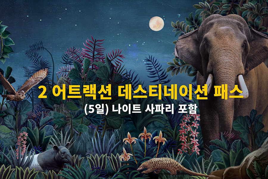 2 어트랙션 데스티네이션 패스 (5일)